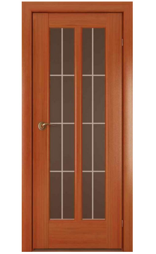 Дверь “Триплекс Модель 5”